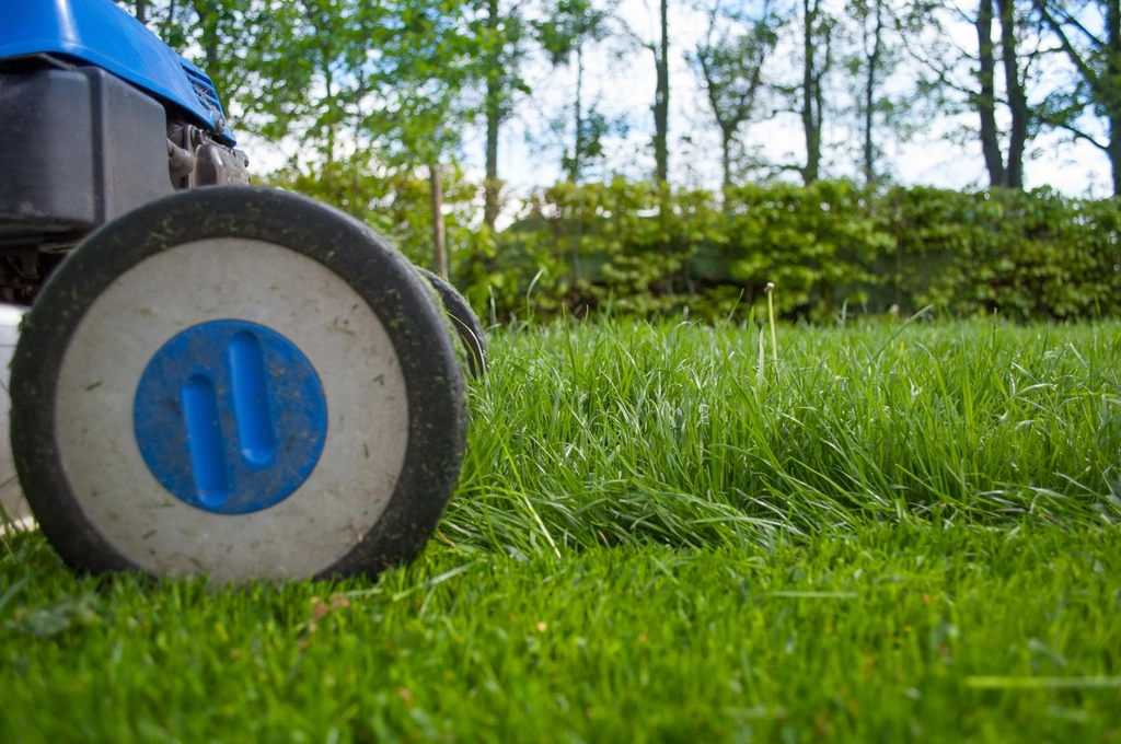 Mower cutting a green lawn