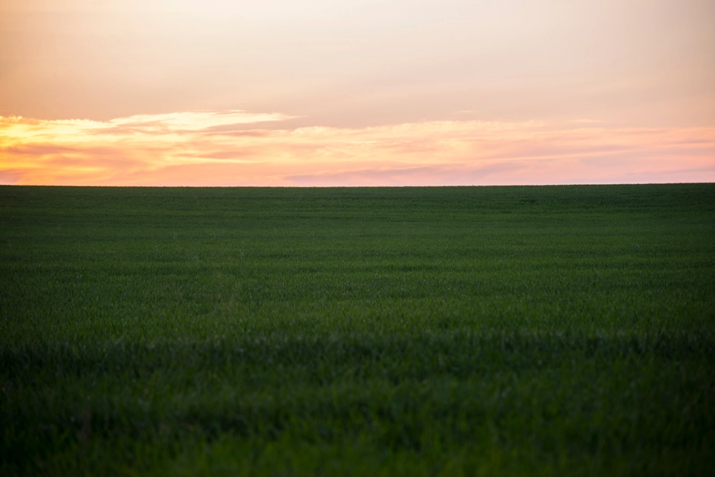 Green prairie fields under a wide sky